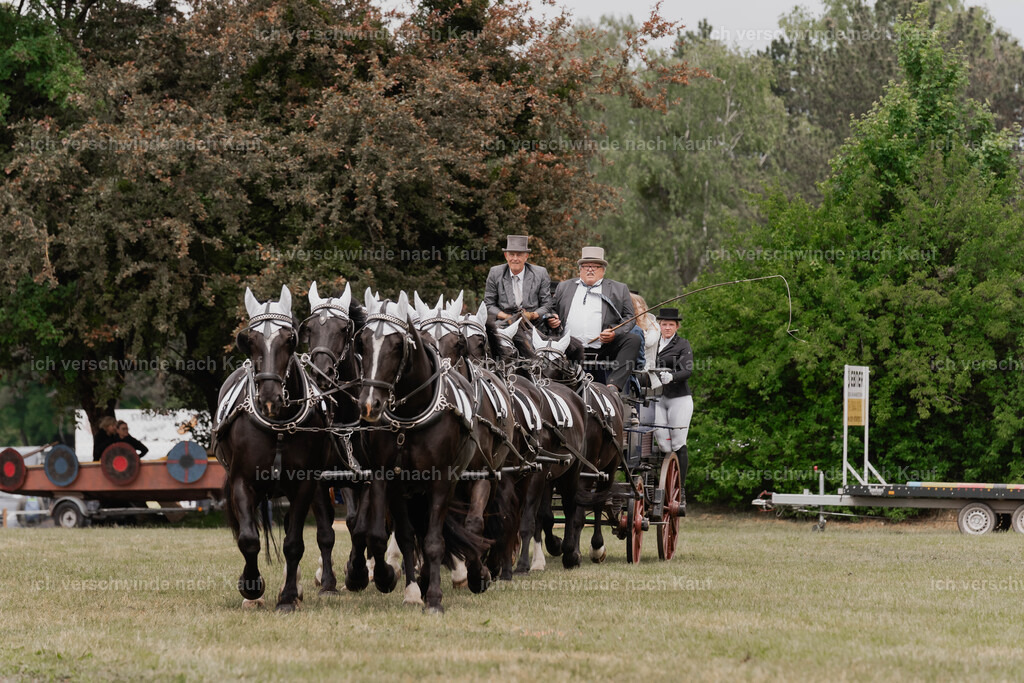 Showprogramm-142 | working equitationturnier fotograf videograf stoibphotography marixx film working equitation deutschland reitsport turnierfotografie eventfotografie equestrian events