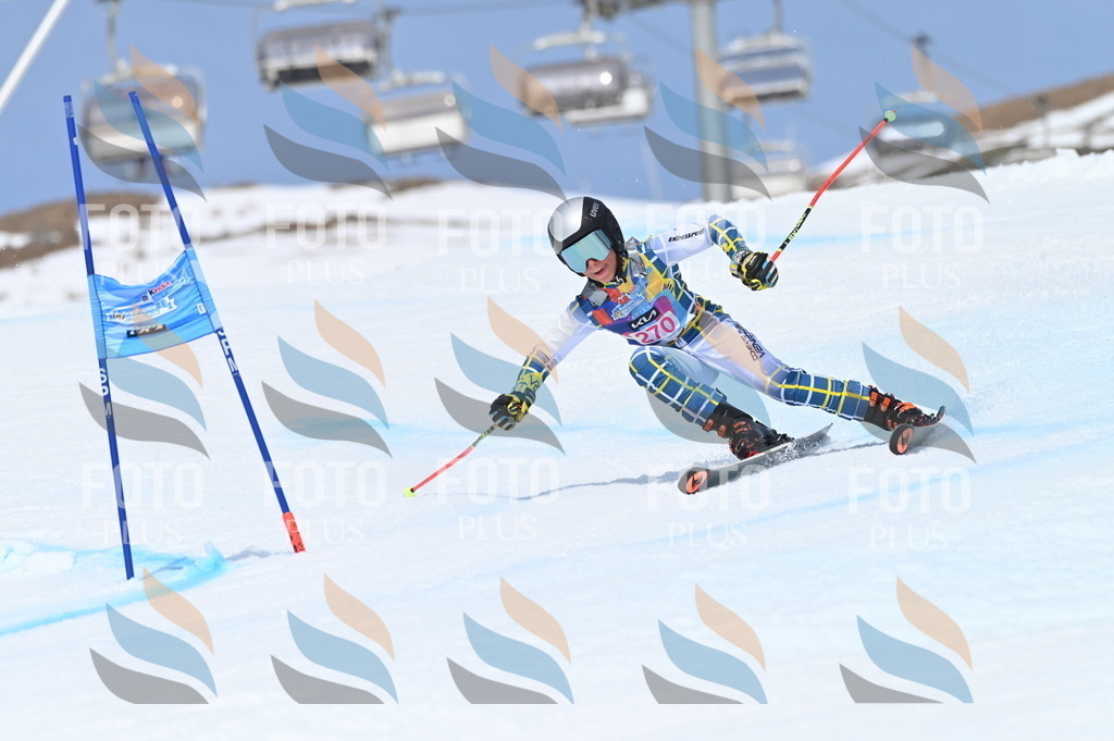 BGV_2255 | holidayphoto