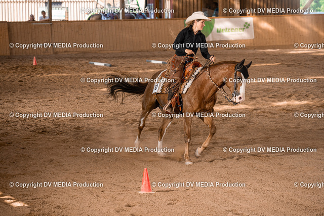 NE101133 | dv-media-shop - Realized with Pictrs.com