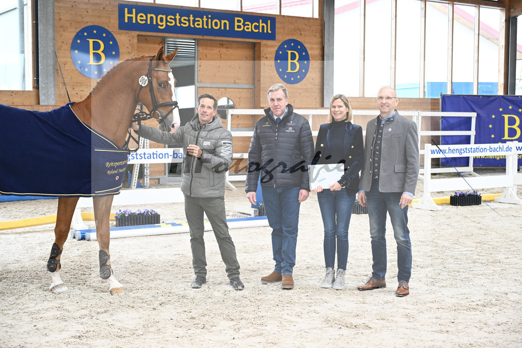Kat-Nr. 6 Amir VT Z v. Aganix Du Seigneur_Neukirch_7242021 | hf-fotografie - Realisiert mit Pictrs.com