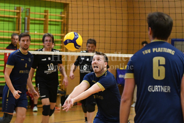 TSV Plattling Volleyball - Isarvolleys | TSV Plattling Volleyball - Isarvolleys - Realisiert mit Pictrs.com