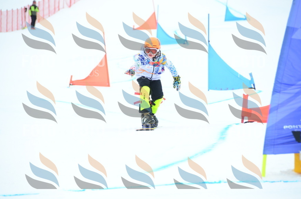 DSC_2039 | holidayphoto