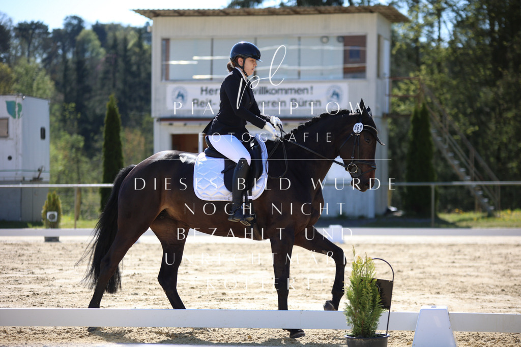 IMGT9643 | pl-fotografie