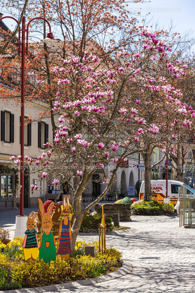 Frohnleiten Ostern Osterdeko 2022-5866 | Fotos und Fotoprodukte - Realisiert mit Pictrs.com