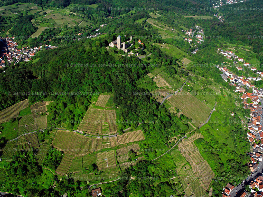 2598029 | Blick auf die Starkenburg und die Weinberge bei Heppenheim