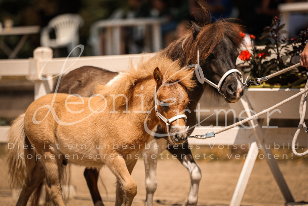 01.DoKR00142 | Leoni Ertmer Photography - Realisiert mit Pictrs.com
