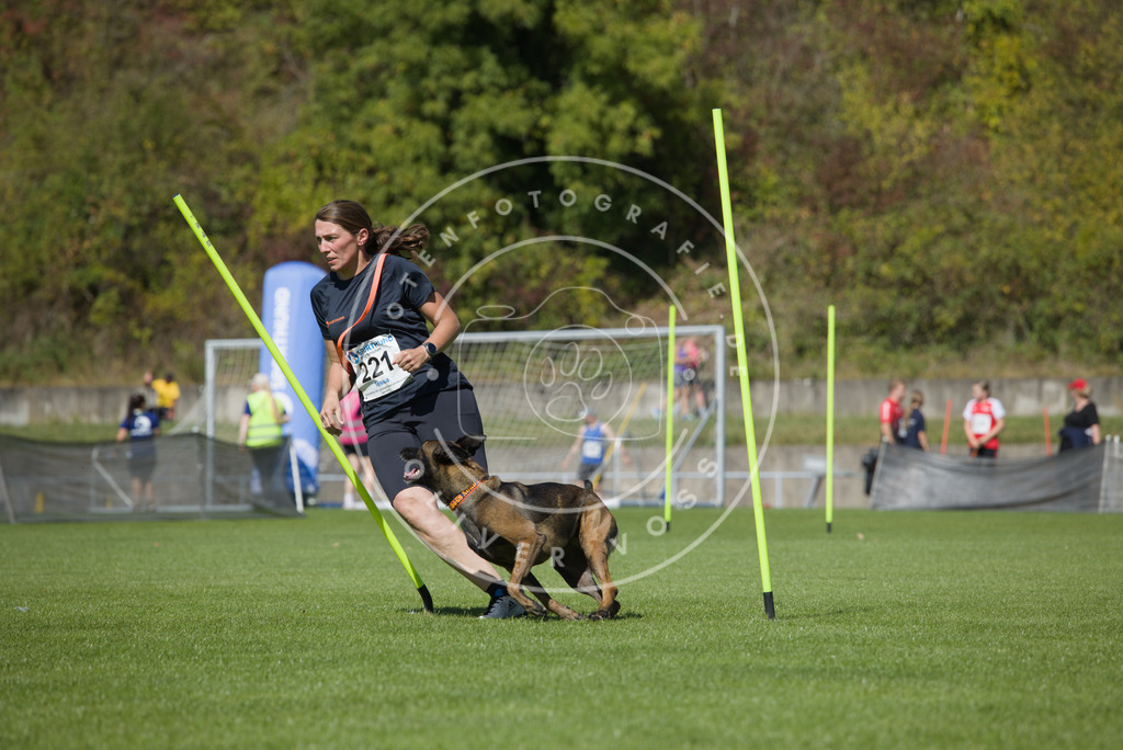 0L8A5964 | Hundefotografie, Tierfotograf, Pfotenfotografie, Fotoshooting Hund, Hunde Portrait, Hundesport, Hundeportraits, Heideshooting, Hunde, Sportfotograf, Hundefotograf, Turnierhundsport, THS,  - Realisiert mit Pictrs.com