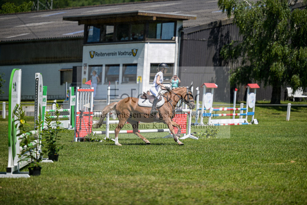 Reitturnier Voxtrup | Entdecke hochwertige Reitturnierfotos von Foto Oger. Professionell, emotional und authentisch – jetzt Lieblingsmomente im Shop bestellen. - Realisiert mit Pictrs.com