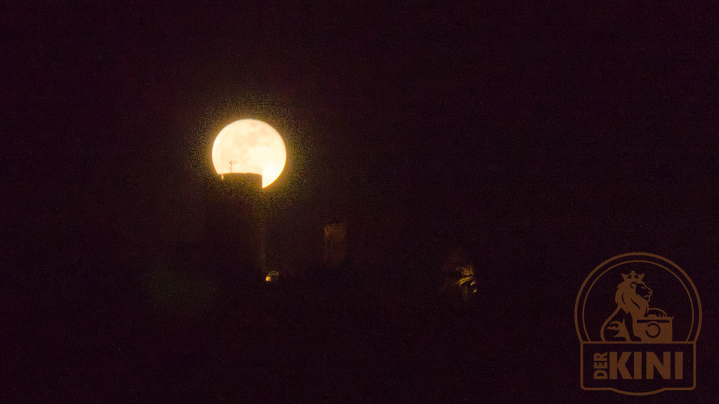 P1050577-1 | Foto, Natur, Tiere, Urlaub, Georgien,  - Realisiert mit Pictrs.com