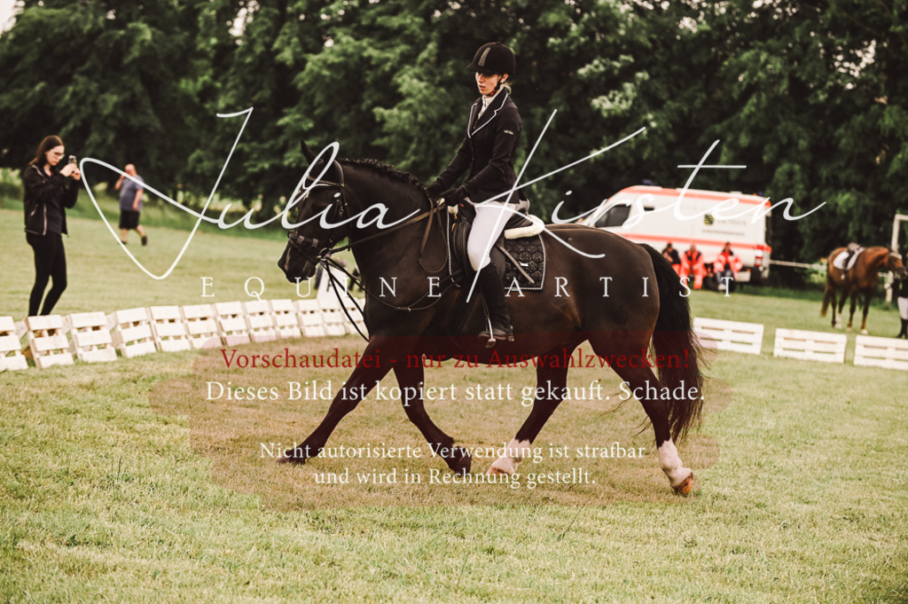 DSC_4981 | Pferde- und Turnierfotografie in Westsachsen. Pferdeportraits, Auftragszeichnungen und intuitive Kunst.