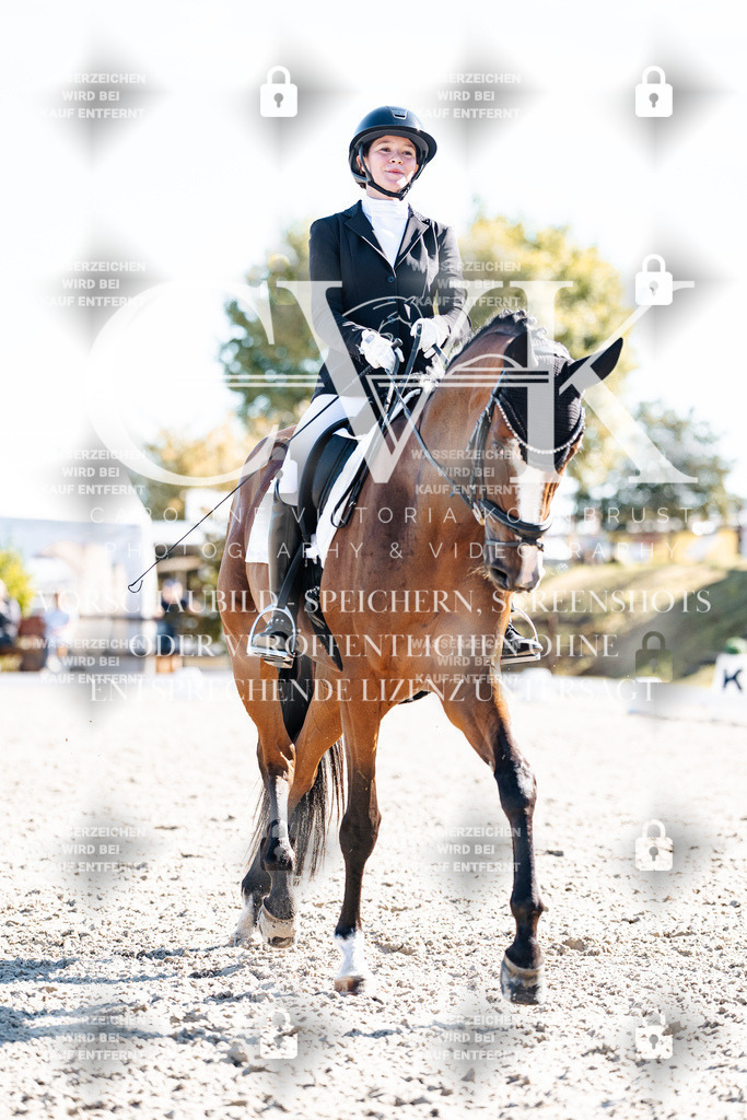 CK908669 | Turnierfotografie Pferdefotografie Trier Rheinland-Pfalz Pferdesport Reitsport Tierfotografie Sportfotografie Pferdevideo Pferdevideografie Equestrianvideography equestrianphotography  - Realisiert mit Pictrs.com