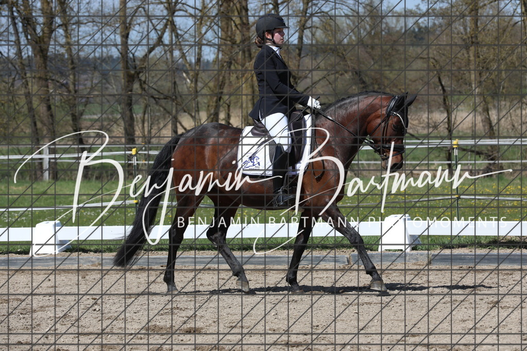 AZ2A5198 | Benjamin Bartmann Photomoments