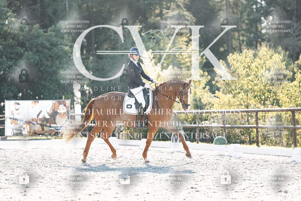CK906922 | Turnierfotografie Pferdefotografie Trier Rheinland-Pfalz Pferdesport Reitsport Tierfotografie Sportfotografie Pferdevideo Pferdevideografie Equestrianvideography equestrianphotography  - Realisiert mit Pictrs.com