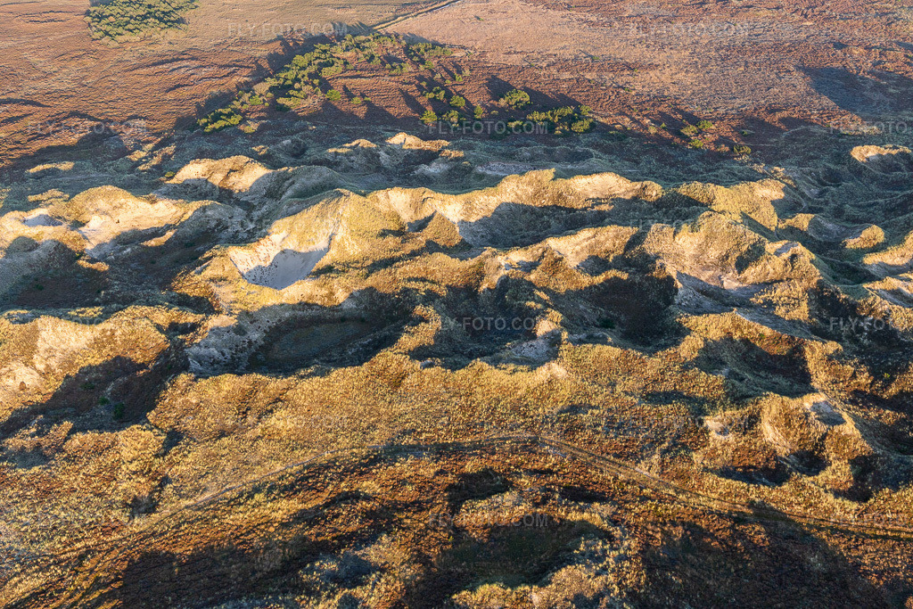 Aerial view: Wadden Sea National Park in Fanø in the state South Denmark, Denmark.Photo: IMG_118967.jpg taken on 09/21/2019 by Werner Riehm/FLY-FOTO.comResolution of the original: 5472 x 3648 px
