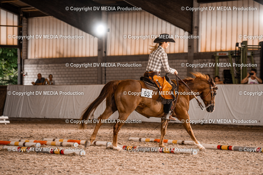 ZH300350 | dv-media-shop - Realisiert mit Pictrs.com