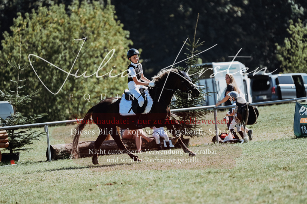 DSC_6908 | Pferde- und Turnierfotografie in Westsachsen. Pferdeportraits, Auftragszeichnungen und intuitive Kunst.