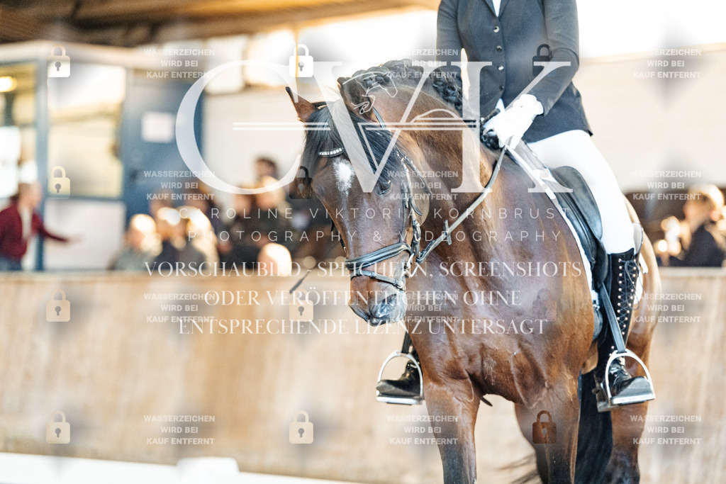 CK908569 | Turnierfotografie Pferdefotografie Trier Rheinland-Pfalz Pferdesport Reitsport Tierfotografie Sportfotografie Pferdevideo Pferdevideografie Equestrianvideography equestrianphotography  - Realisiert mit Pictrs.com