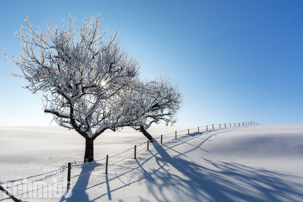 PS-Winter-2026-23 | Entdecke die größte Bildgalerie der Region mit Fotografien aus dem Allgäu, der Bodenseeregion, Oberschwaben, dem Donautal und der Schwäbischen Alb. Landschaften, Luftaufnahmen und Reisefotografie als Wandbild und Fotokunst. - Realisiert mit Pictrs.com