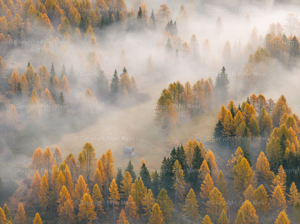 Lesachtal_Herbst-55 | default