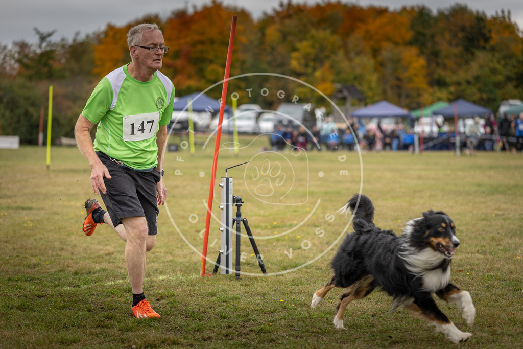 Pfotenfotografie_DV3A6525 | Hundefotografie, Tierfotograf, Pfotenfotografie, Fotoshooting Hund, Hunde Portrait, Hundesport, Hundeportraits, Heideshooting, Hunde, Sportfotograf, Hundefotograf, Turnierhundsport, THS,  - Realisiert mit Pictrs.com