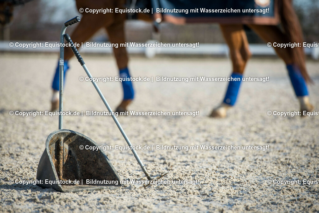 20161213_Mistboy_0005 | Foto: Thomas Hartig