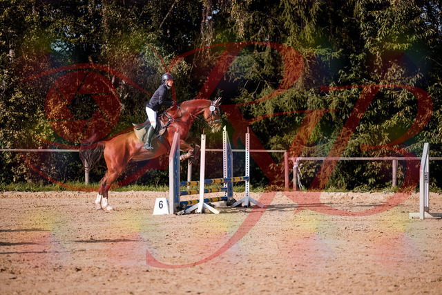 2026_10_03_Siefer-Hof_155630_Z81_76061672 | Professionelle Reitsport-, Turnier- und Eventfotografie von Robert Broda. Galerien mit ausgewählten und bearbeiteten Bildern direkt online ansehen und bestellen.
