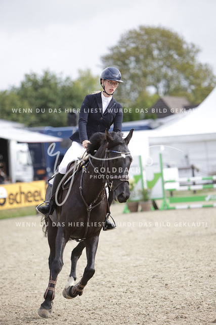 1J2A0732Nele Hoff_ Nordwarf_s Nikita_ Kn801_ Havekost | Foto- und Videografie für alles rund ums Pferd. Hochwertige Bilder und Videos vom Spring- und Dressurreiten, Voltigieren & mehr. Jetzt aktuelle Veranstaltungen und Preise im Shop ansehen. - Realisiert mit Pictrs.com