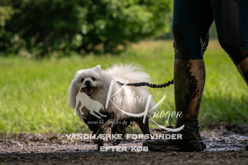 1151_ZZ94995 | kk-dogfotos
