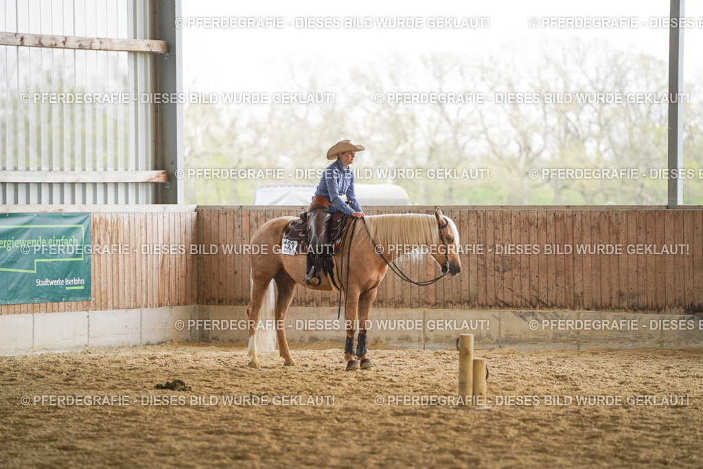 DSC05754 | Pferdegrafie