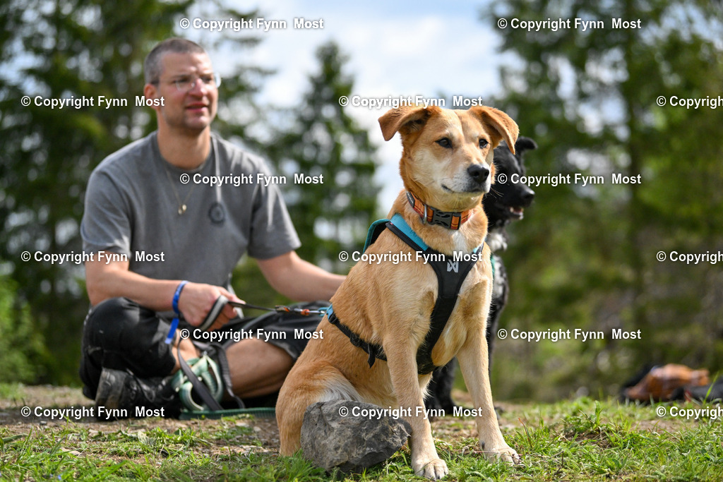 DSC_3756 | Hallo und herzlich Willkommen auf meiner Shop-Seite Fynn Most.

Ich wünsche Dir viel Spaß beim stöbern durch die Bilder, wenn Du Fragen hast oder Bilder vermisst, kannst du mir gerne eine Nachricht schreiben. - Realisiert mit Pictrs.com