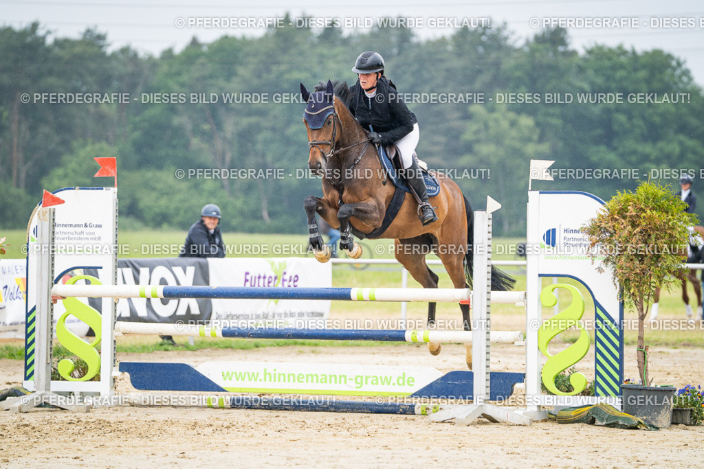 DSC00814 | Pferdegrafie