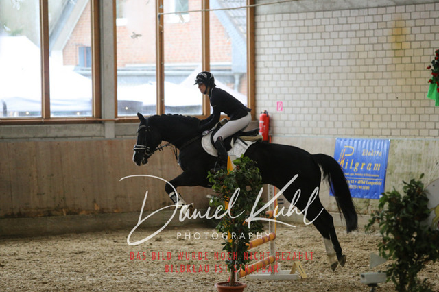 IMG_0660 | Turnierfotos kaufen im Webshop von Daniel Kuhl Photography – entdecke professionelle Reitsportfotos aus Turnieren & Events. Hochwertige Turnierbilder online bestellen & sichern. Jetzt Fotos von Reitsportturnieren kaufen!