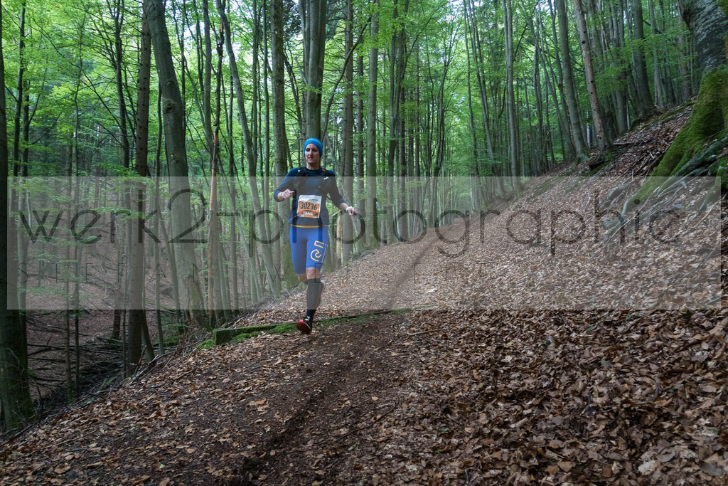 Herbstlauf | Neuhaus/Rwg. - Masserberg am 3. Oktober 2020