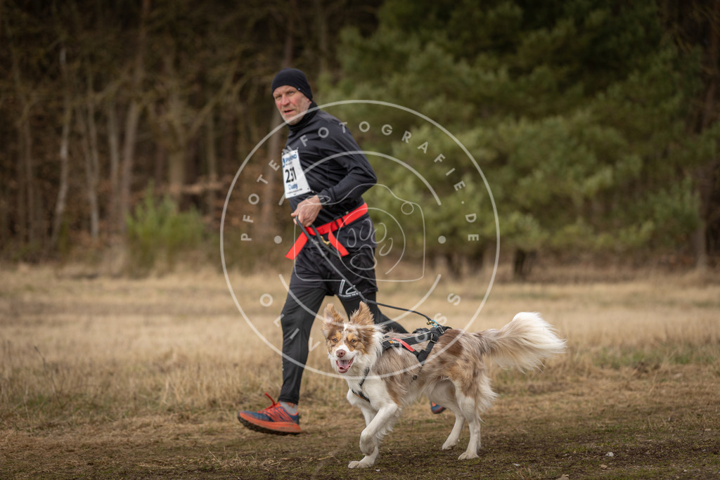 DV3A5356 | Hundefotografie, Tierfotograf, Pfotenfotografie, Fotoshooting Hund, Hunde Portrait, Hundesport, Hundeportraits, Heideshooting, Hunde, Sportfotograf, Hundefotograf, Turnierhundsport, THS,  - Realisiert mit Pictrs.com