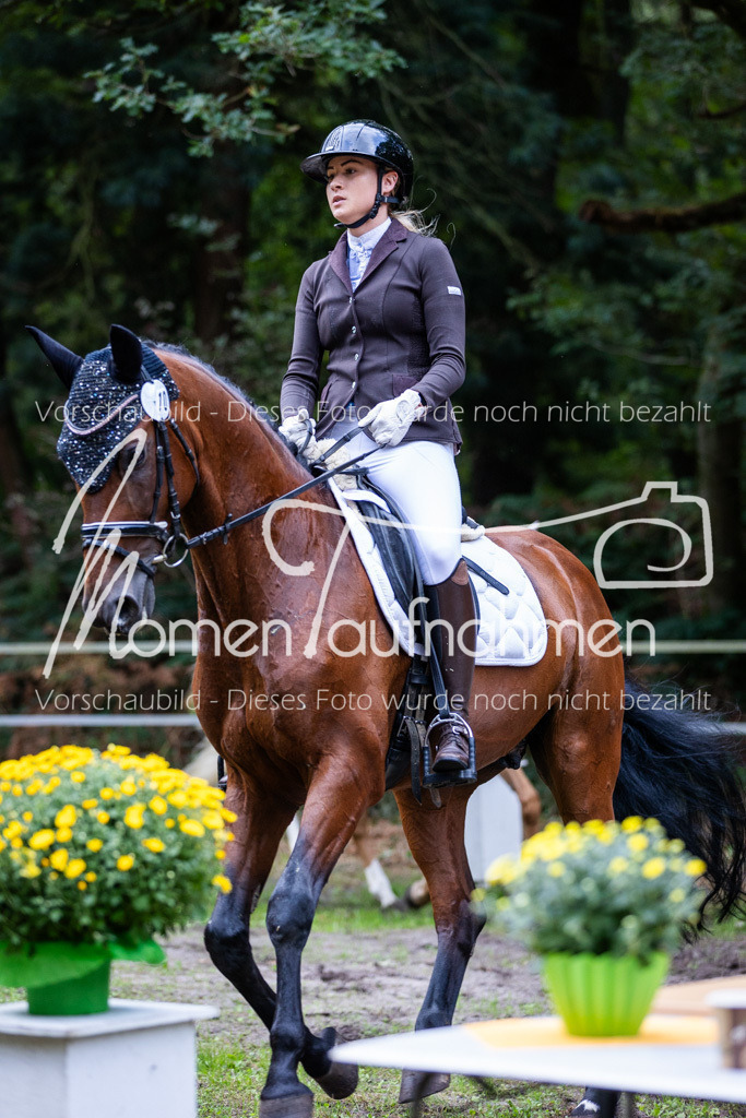 HB-A-Dressur-031 | MomenTaufnahmen Pferdesportfotos