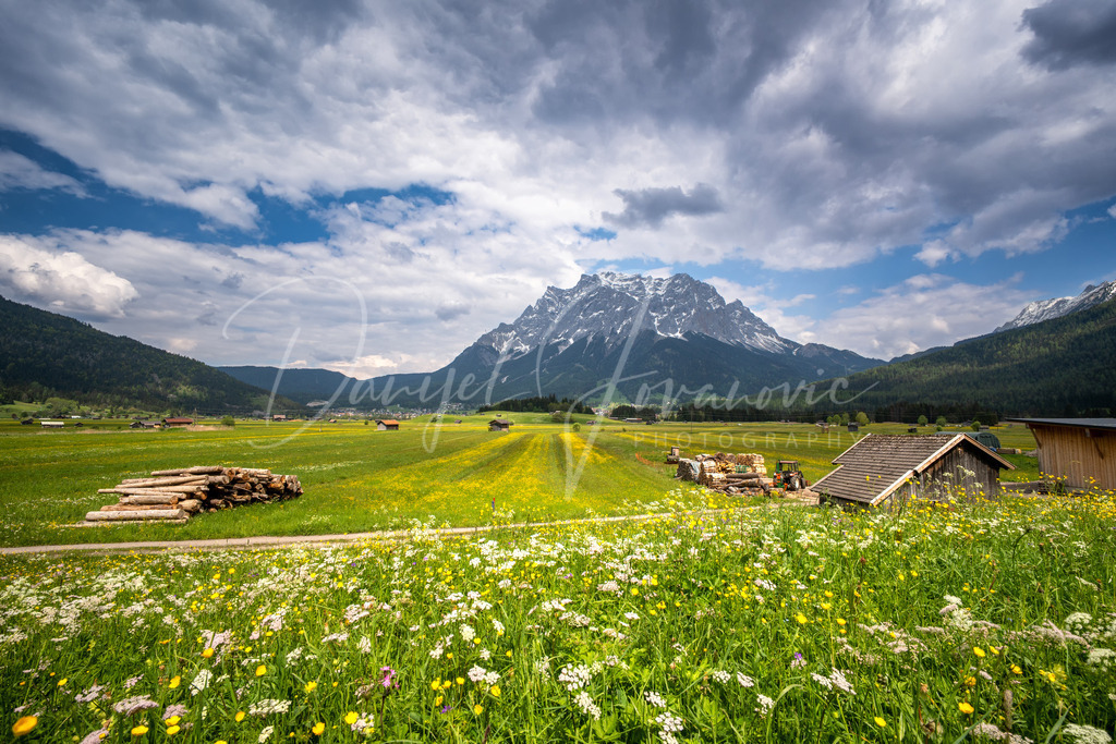 Zugspitze | Blick über das Moos auf die Zugspitze