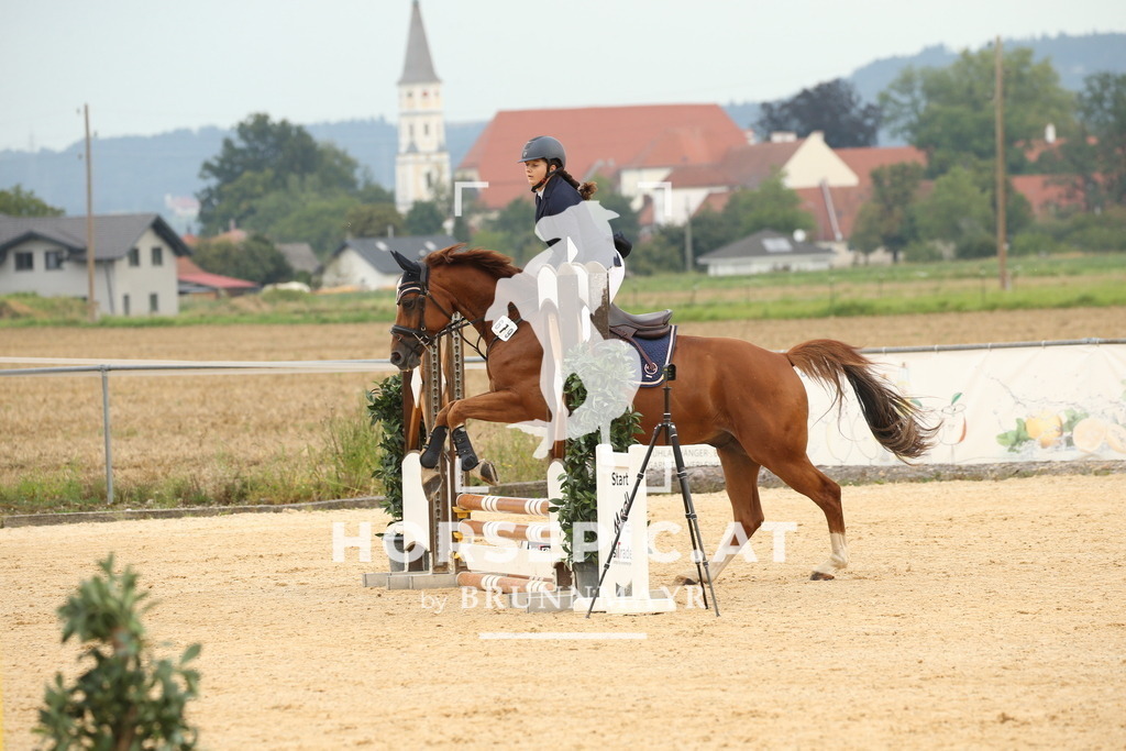 DL2Q3174 | Willkommen bei Brunnmayr - Design & Fotografie – Ihrem Spezialisten für Reitturniere und Pferdeveranstaltungen in Oberösterreich, Salzburg und Bayern! Seit über 17 Jahren sind wir leidenschaftlich dabei.