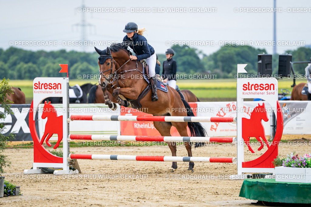 DSC04776 | Pferdegrafie