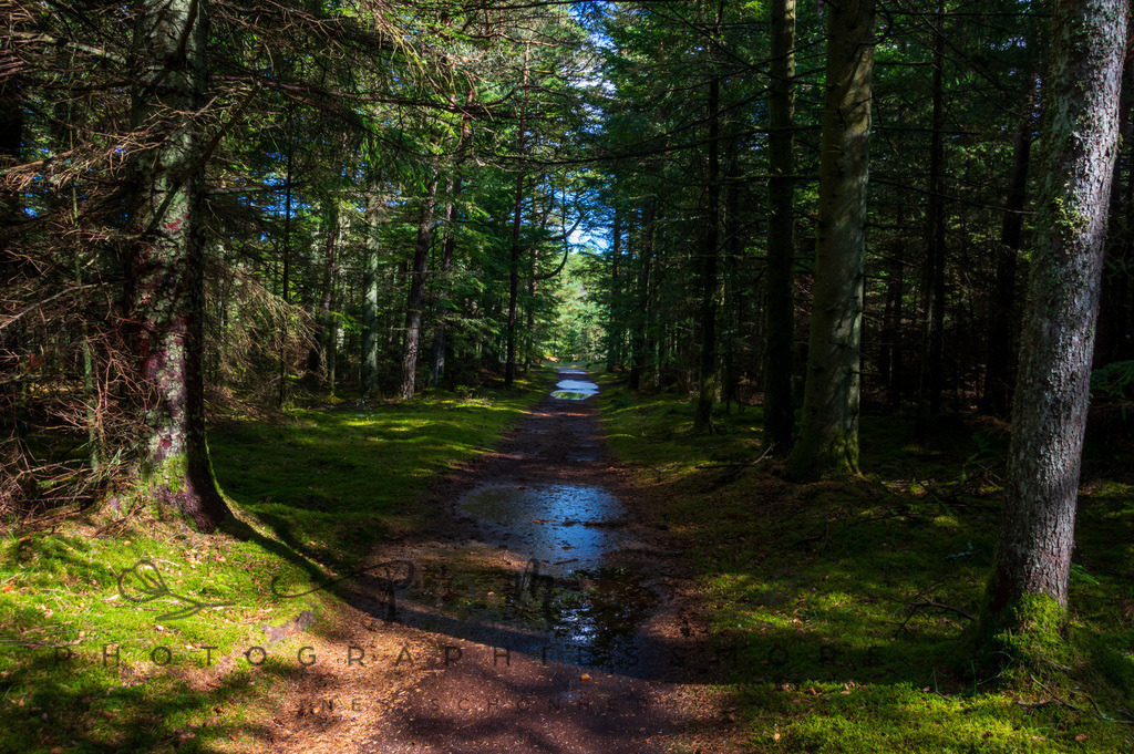 _Reservat2022-1538 | Photographies and more - Realisiert mit Pictrs.com