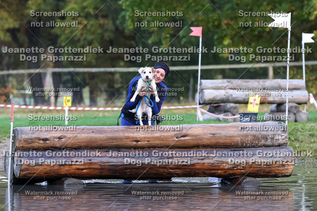 Dog Paparazzi - Strongdog 10-25-6651 | Dog Paparazzi Jeanette Grottendiek Fotografie & Videografie - Realisiert mit Pictrs.com