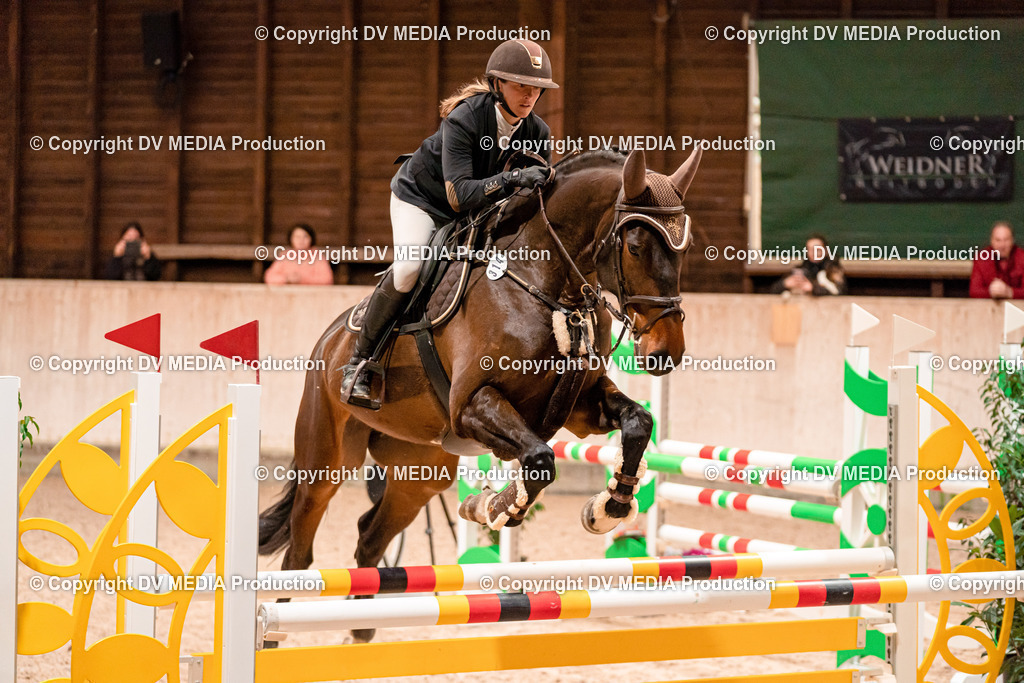 Springen Tag 1-358 | dv-media-shop - Realisiert mit Pictrs.com