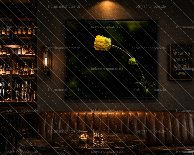 Blume_Bar | Authentische Fotografie für Menschen, Marken und Räume. Portraits, Editorial, Fine Art und atmosphärische Bildwelten im Werra-Meißner-Kreis, Kassel und Eisenach. Emotion im Fokus.