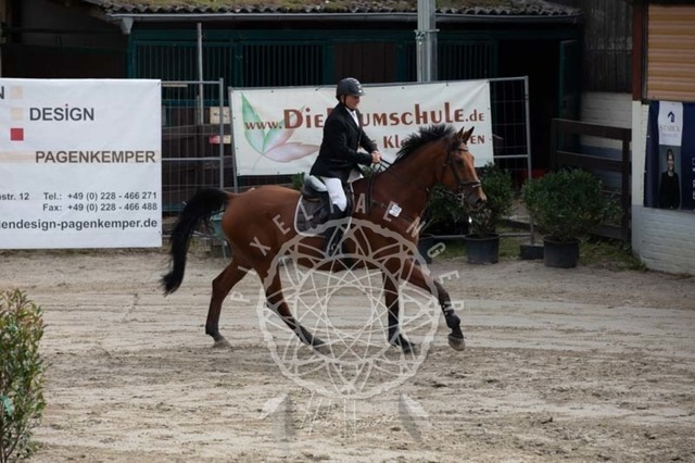 2B4A2044 | pixelfaenger - Realisiert mit Pictrs.com