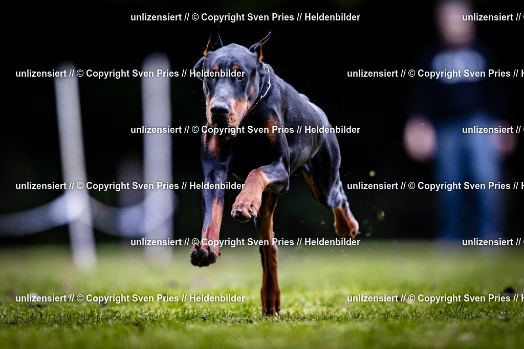 Sven Pries | 2025-10-03 - Hunderennen Obergrombach - Realisiert mit Pictrs.com