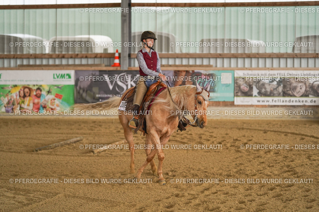 DSC06556 | Pferdegrafie