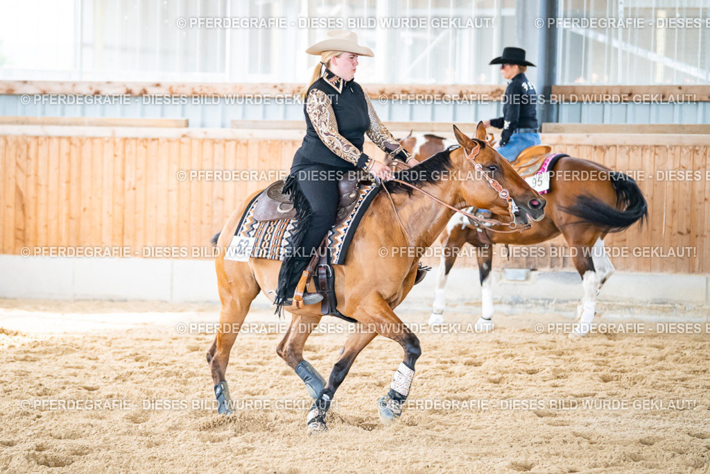 DSC04994 | Pferdegrafie