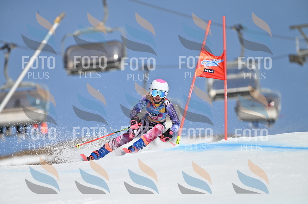 BGV_8774 | holidayphoto