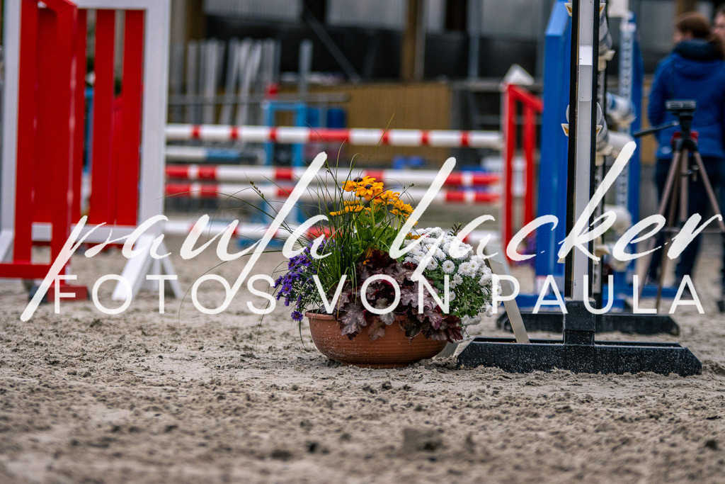 IMG_6241 | Erleben Sie dynamische Sport- und emotionale Tierfotografie in Süddeutschland mit Fotos von Paula. Spezialisiert auf Pferde- und Hundefotografie sowie Sportevents. Kontaktieren Sie mich für einzigartige und ausdrucksstarke Bilder Ihrer besonderen Momente.