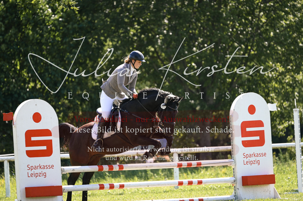 DSC_8791 | Pferde- und Turnierfotografie in Westsachsen. Pferdeportraits, Auftragszeichnungen und intuitive Kunst.