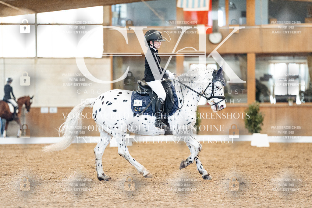 CK908970 | Turnierfotografie Pferdefotografie Trier Rheinland-Pfalz Pferdesport Reitsport Tierfotografie Sportfotografie Pferdevideo Pferdevideografie Equestrianvideography equestrianphotography  - Realisiert mit Pictrs.com